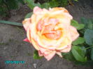 PICT2364