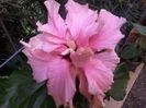 20150804_162321