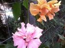 20150804_162310