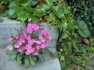 DSC02194