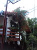 DSC02196