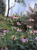 DSC02201