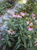 DSC02204
