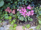DSC02207