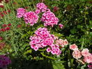 4 aug 037