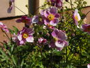4 aug 078