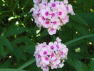 4 aug 092