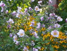 5 aug 049