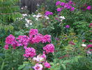 5 aug 059