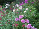 5 aug 060