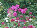 5 aug 064