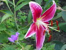 5 aug 070