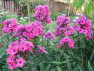 5 aug 078