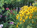 5 aug 085