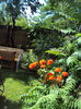 DSC02187