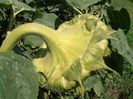 P8010142
