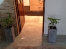 Dracena