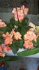20150805_125944[1]