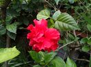 IMG_20150731_183402