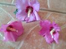 IMG_20150729_092515