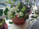 IMG_20150804_071257