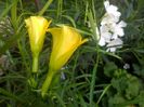 IMG_20150723_080157