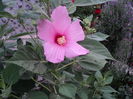 DSC02953