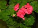DSCN4027