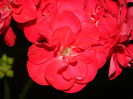 DSCN4028