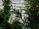 DSCN4077