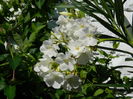 DSCN4087