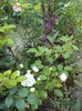 DSC02467