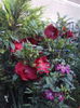 DSC02851