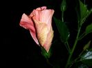 20150805_231646