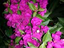 20150805_231758