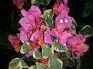 20150805_231932