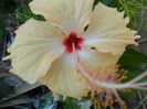 SAM_8364