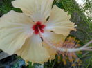 SAM_8365