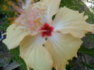 SAM_8370