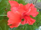 SAM_8371