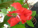SAM_8375