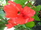 SAM_8376