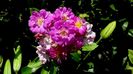 DSC00618