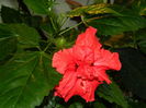 DSCN3777