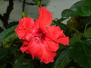 DSCN3778
