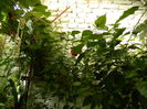 DSCN3788