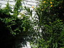 DSCN3795