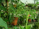 DSCN3801