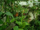 DSCN3802