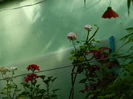DSCN3807